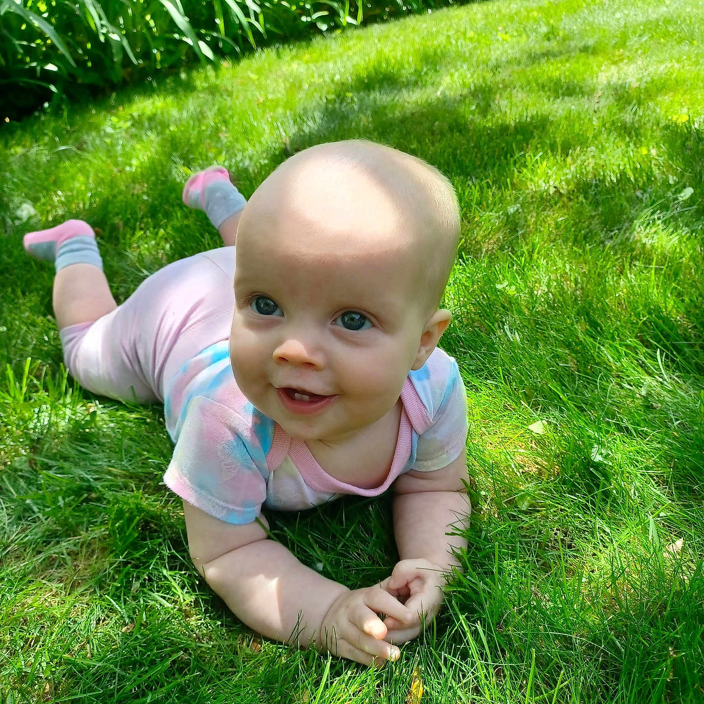 Jeanette is registered to the contest to win money with this photo: baby, backyard, crawling, face, field, grass, grassland, green, head, herbal, lawn, nature, outdoors, park, person, photography, plant, portrait, vegetation, yard