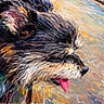 Loki joined the competition — help win amazing prizes! dog, tongue, close_up, outdoor, water, lake, nature, fur, animal, pet, happy, sunny, colorful, impressionist_style, bench, person, walking, trees, sky, daytime