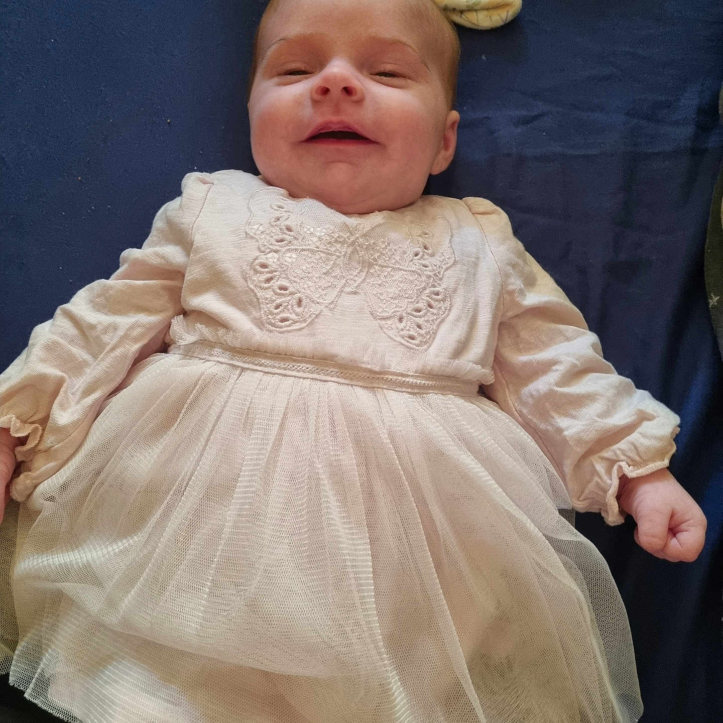Ameilla joined the competition — help win amazing prizes! baby, blue_background, butterfly_embroidery, child, clothing, cute, dress, fabric, face, hand, happy, head, infant, long_sleeves, lying_down, newborn, portrait, smiling, soft_toy, tulle_skirt