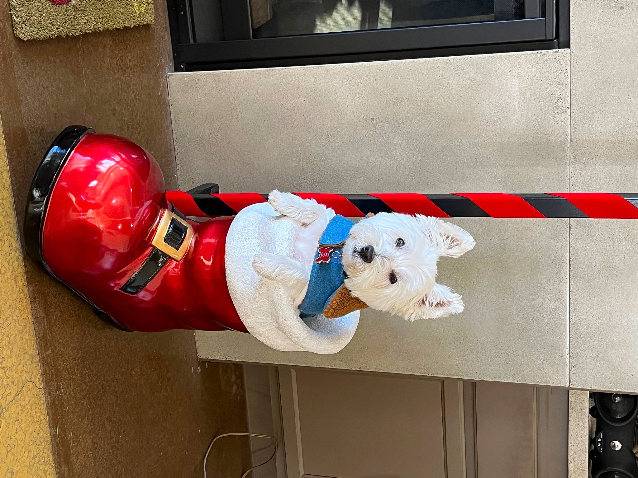 Scout joined the competition — help win amazing prizes! art, baby_toys, carmine, costume, fictional_character, flooring, gas, machine, plush, room, stuffed_toy, textile, toy, window, wood