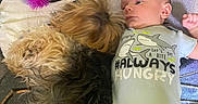 Elias is registered to the contest to win money with this photo: baby, dog, toy, blanket, stuffed_doll, carpet, infant, playtime, pet, cuddly, cute, indoor, soft_toys, child, animal, face, clothing, lying_down, interaction, curious