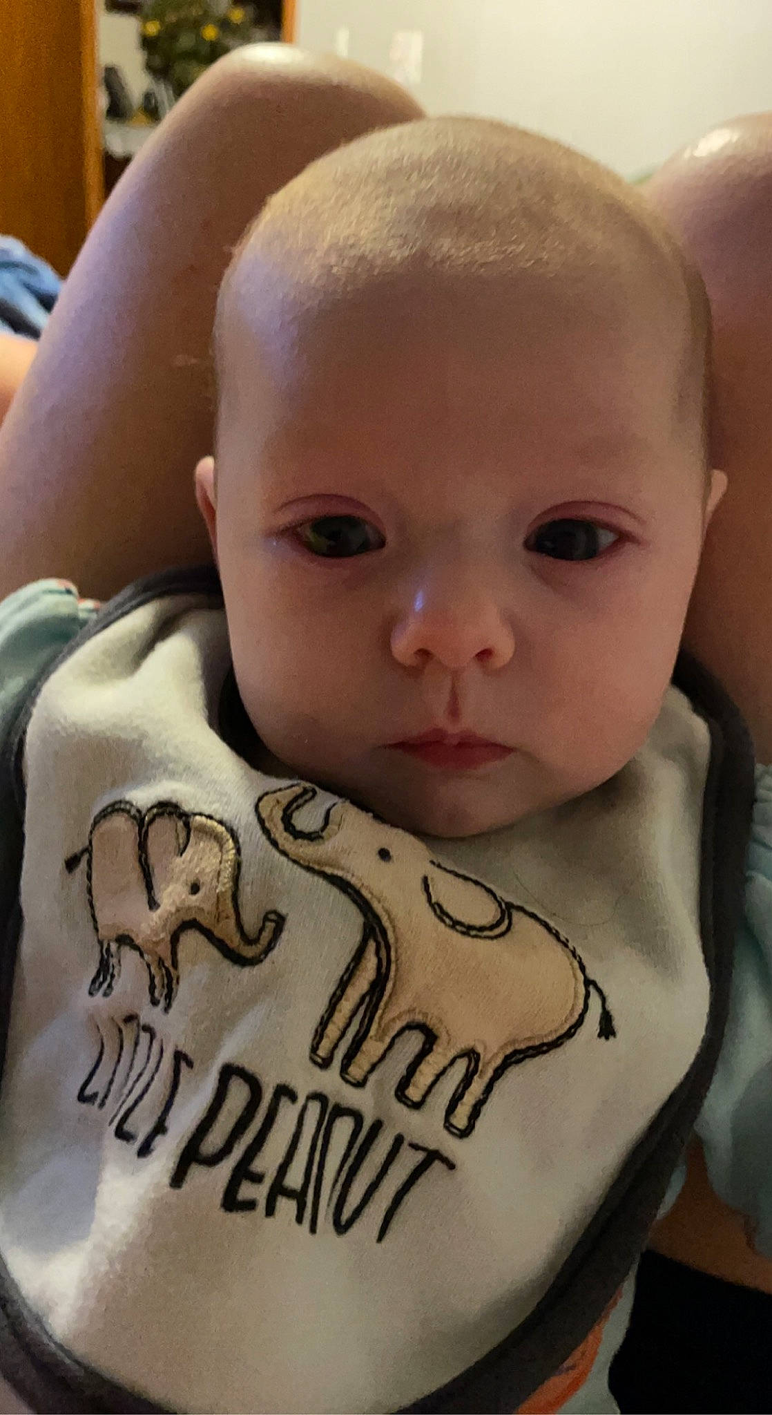 Olive joined the competition — help win amazing prizes! baby, baby_toddler_clothing, bib, cheek, child, chin, ear, eye, eyebrow, eyelash, forehead, human_body, iris, lip, neck, nose, person, product, skin, sleeve