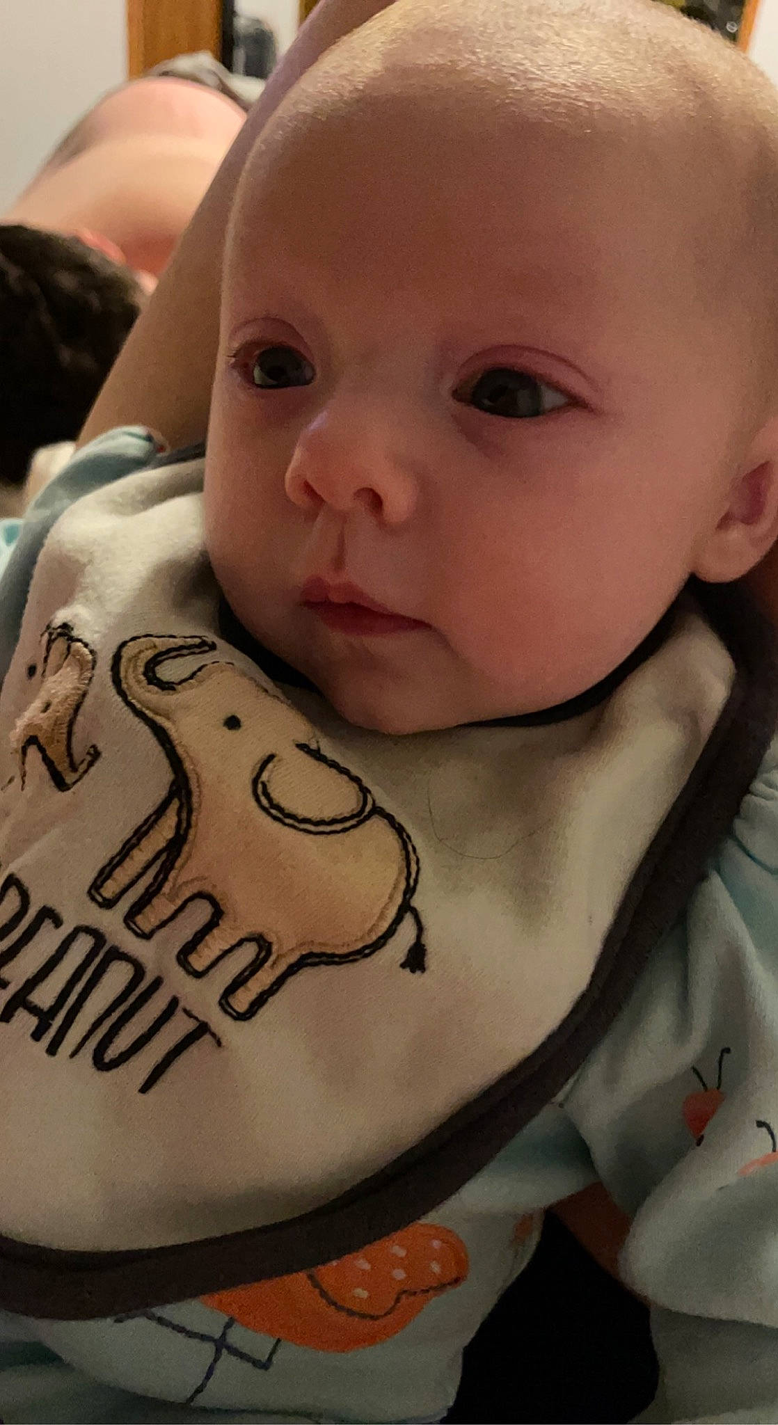 Olive joined the competition — help win amazing prizes! baby, baby_toddler_clothing, bib, cheek, child, chin, comfort, ear, eyebrow, eyelash, happy, iris, lip, mouth, neck, nose, person, product, skin, sleeve