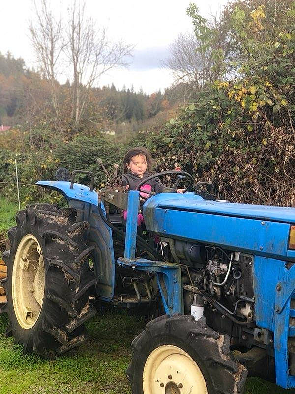 Reagan is registered to the contest to win money with this photo: agricultural_machinery, automotive_tire, automotive_wheel_system, car, farm, farmworker, field, land_vehicle, person, plough, rural_area, soil, tire, tractor, tread, vehicle