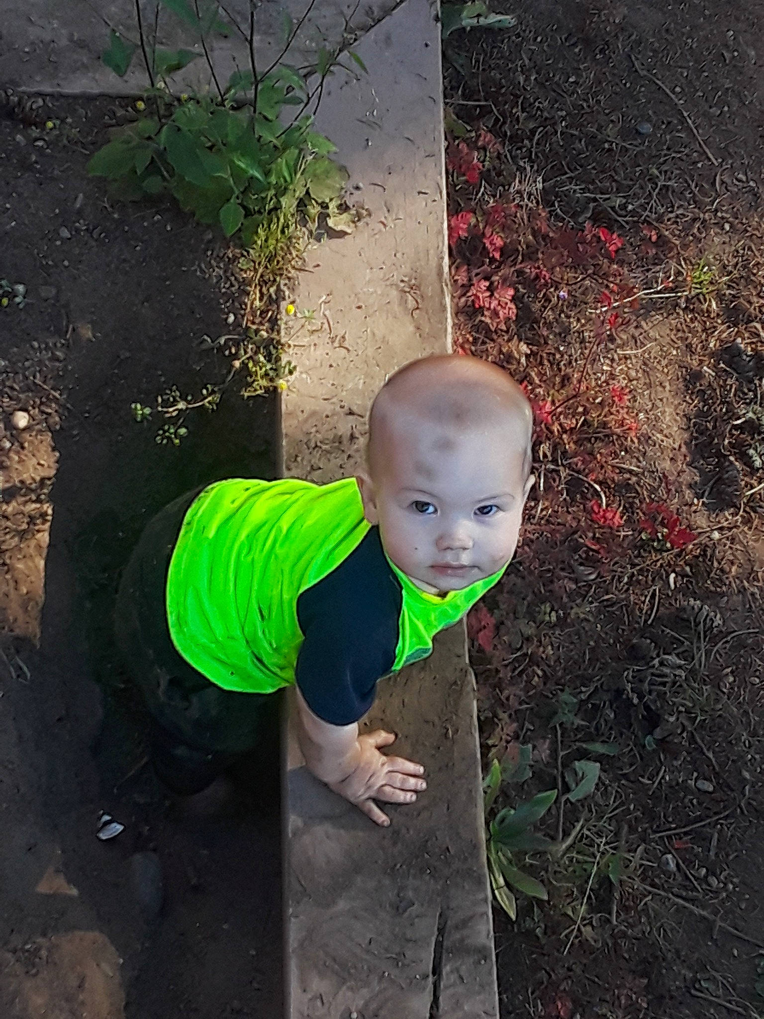 Jethro is registered to the contest to win money with this photo: adaptation, child, green, person, plant, portrait, soil, toddler