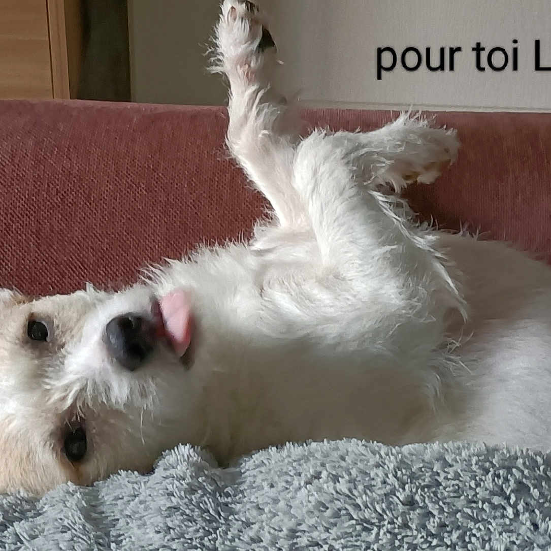 Orla