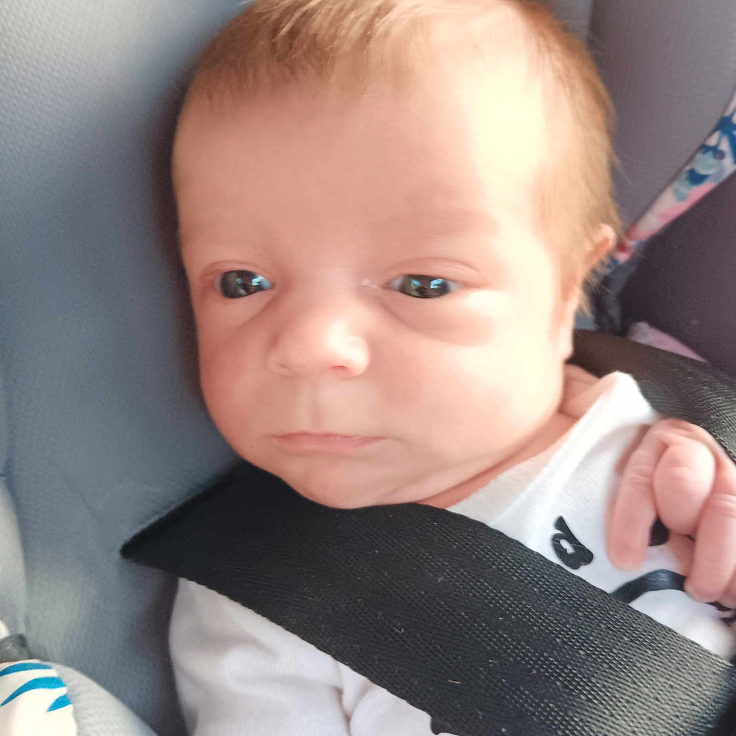 Emberleigh is registered to the contest to win money with this photo: accessories, baby, belt, bodypart, car, car_interior, carseat, cushion, face, finger, hand, head, homedecor, newborn, person, photography, portrait, seatbelt, strap, transportation
