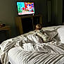 baby, bed, blanket, pajamas, television, animation, room, furniture, carpet, table, mirror, microwave, cabinet, white, sleepwear, indoor, child, watching, cozy, curious