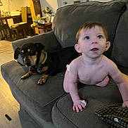 Canon joined the competition — help win amazing prizes! baby, child, dog, couch, living_room, furniture, indoor, person, pet, canine, curious, crawling, brown_hair, gray_couch, home, domestic, carpet, floor, table, chair