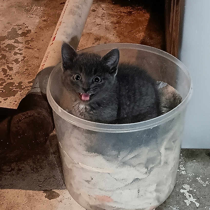 Teensie Mae