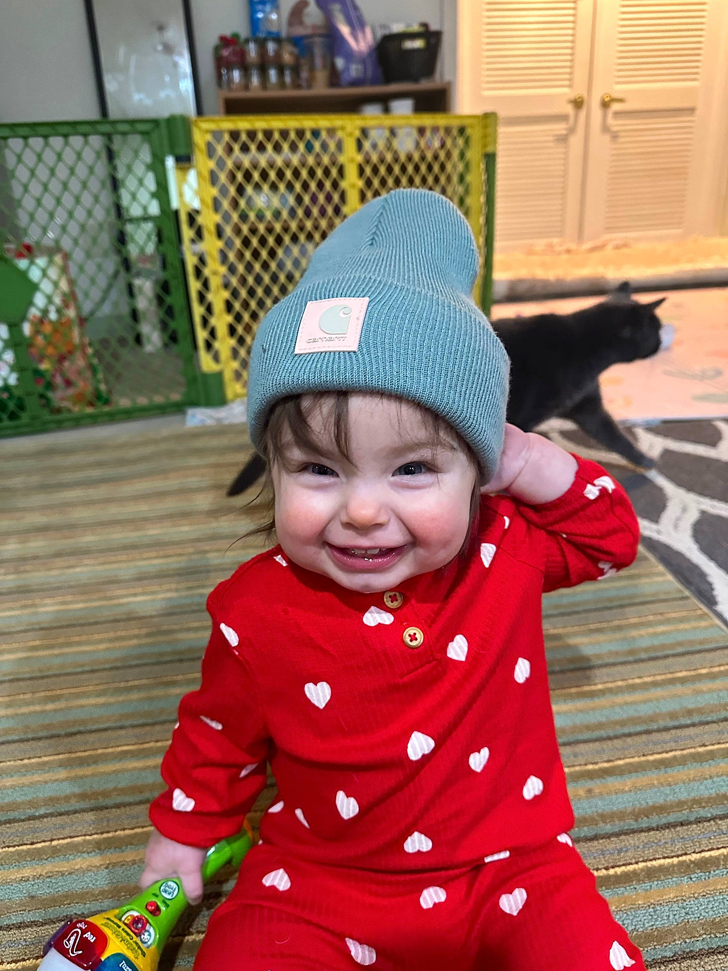 animal, architecture, baby, beanie, bonnet, cap, cat, clothing, couch, face, furniture, happy, hat, head, pattern, person, pet, photography, portrait, smile