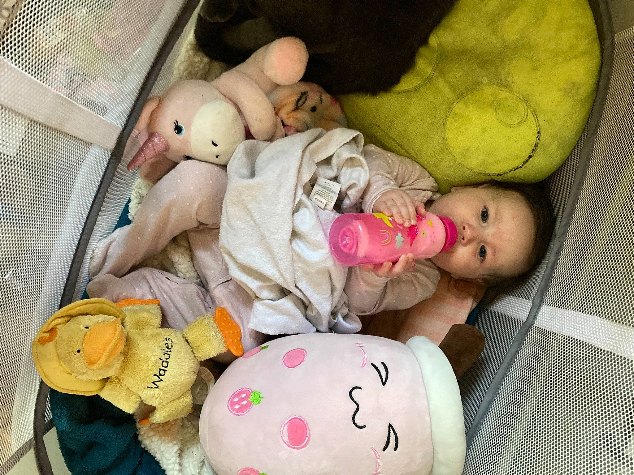 Blossom is registered to the contest to win money with this photo: baby, baby_products, baby_sleeping, baby_toddler_clothing, baby_toys, cheek, child, comfort, event, headwear, linens, person, pink, plush, room, skin, stuffed_toy, teddy_bear, textile, toddler
