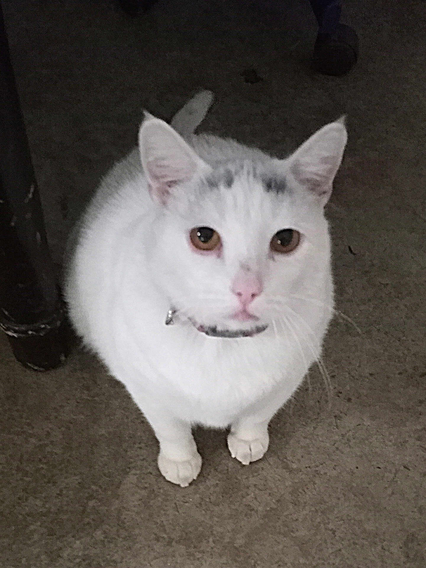 Luna