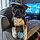 Rosko