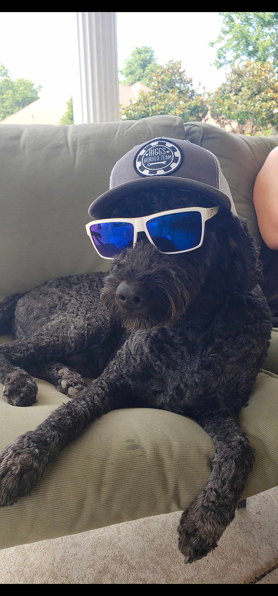 Finn