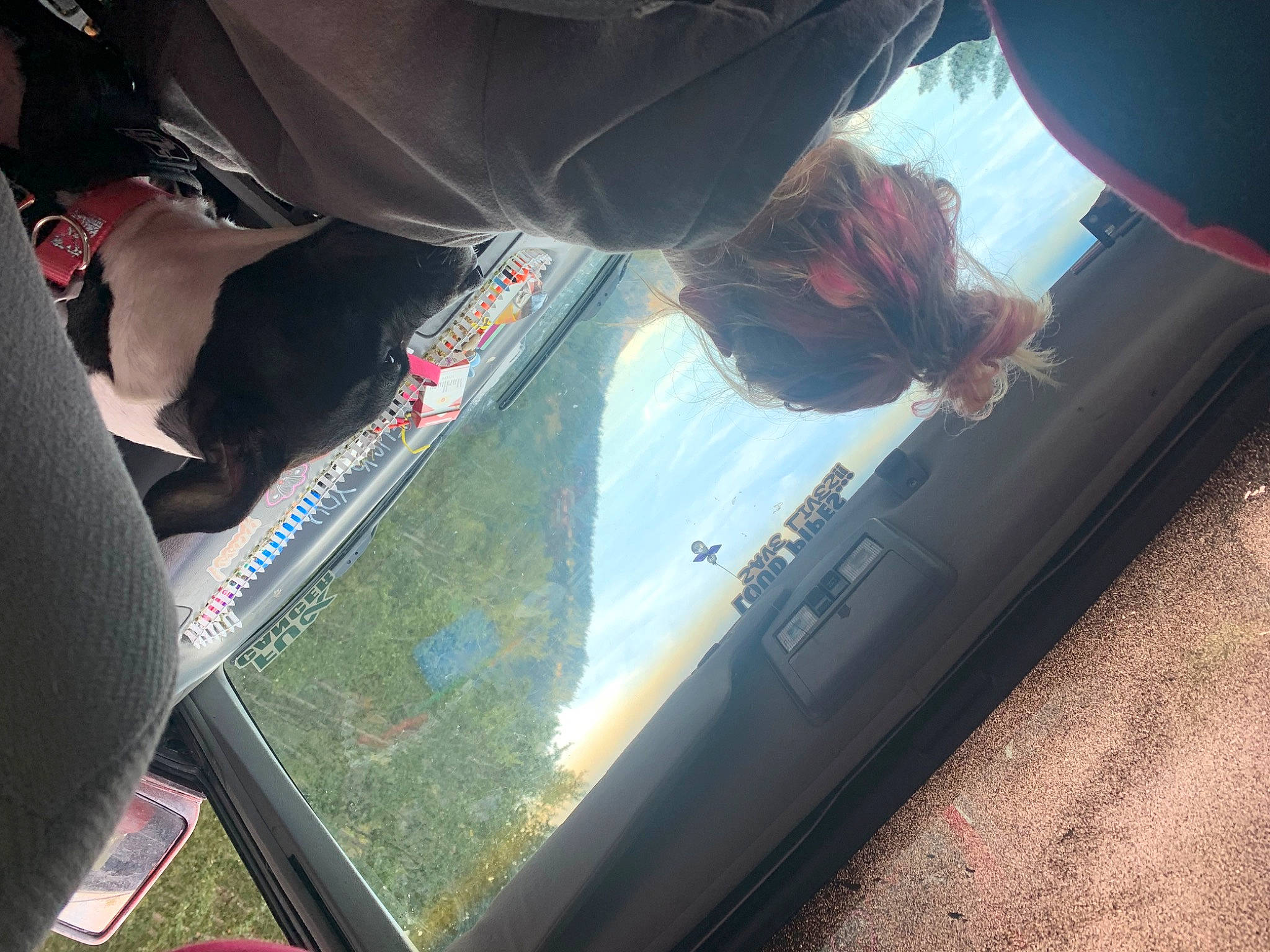 Penelope joined the competition — help win amazing prizes! auto_part, automotive_design, automotive_exterior, automotive_lighting, automotive_mirror, automotive_window_part, bumper, car_seat, glass, hood, human_leg, mode_of_transport, motor_vehicle, rear_view_mirror, tints_and_shades, vehicle, vehicle_door, window, windscreen_wiper, windshield