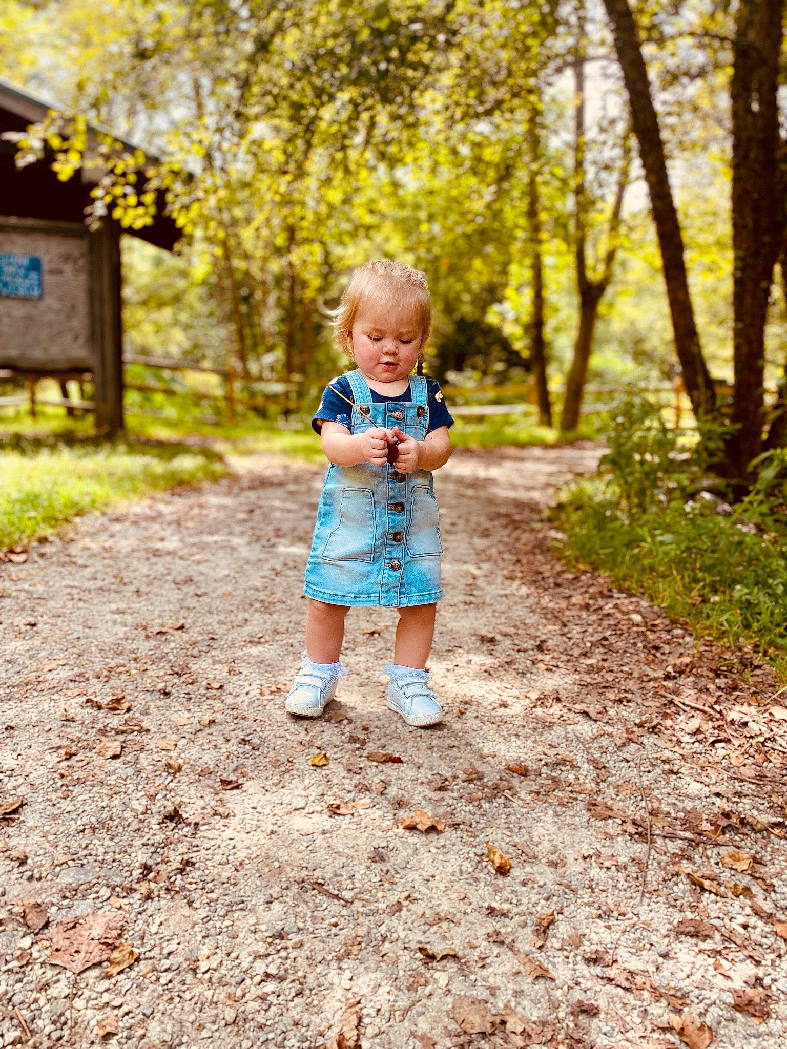 Emersynn joined the competition — help win amazing prizes! baby, baby_toddler_clothing, branch, deciduous, forest, grass, happy, leaf, leisure, morning, natural_environment, people_in_nature, person, plant, recreation, sunlight, toddler, tree, wood, woody_plant