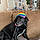 Roxy