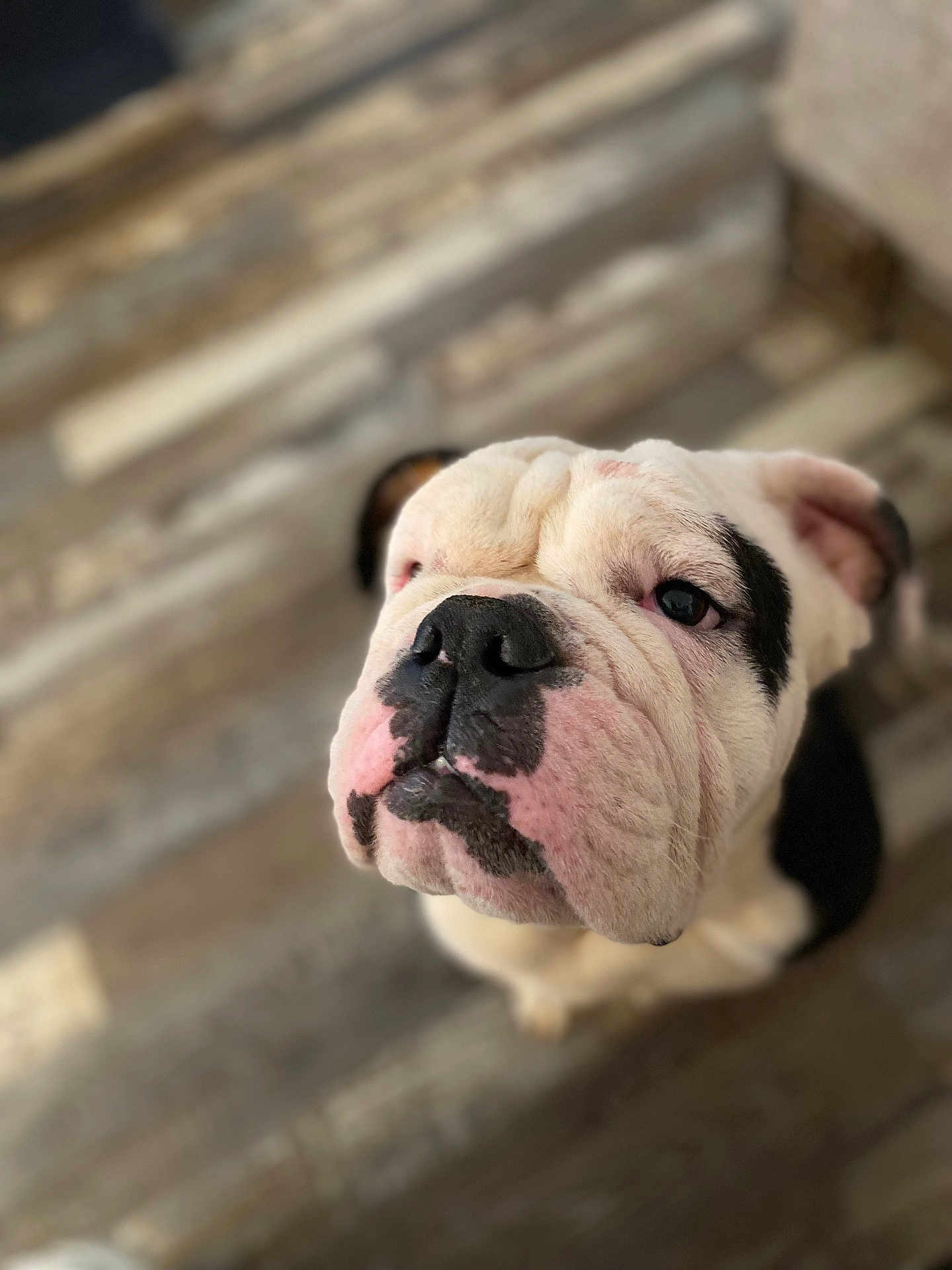 Tucker