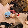 dog, brindle, tongue, toy, blue_ball, floor, wooden_floor, paw, stroller_wheel, harness, indoor, pet, playful, closeup, animal, canine, flooring, domestic_animal, cute, mischievous