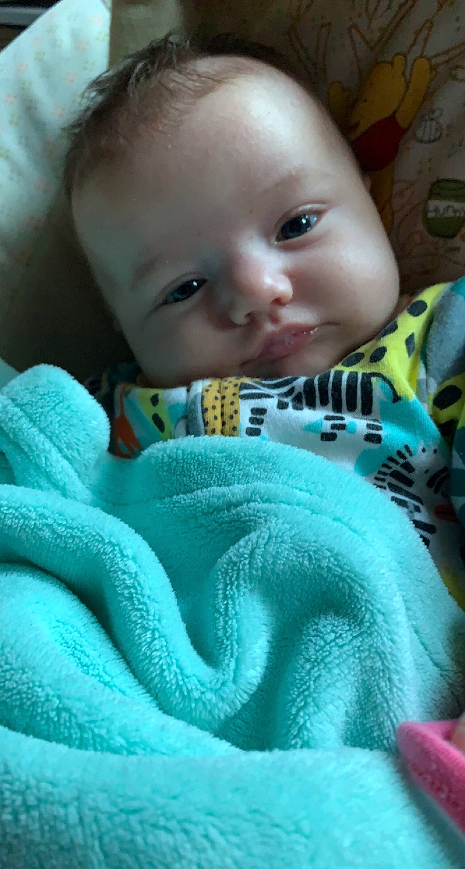 Ambre a rejoint le concours — aidez-le/la à gagner de superbes lots ! baby, baby_products, baby_toddler_clothing, cheek, child, comfort, ear, electric_blue, eyebrow, green, happy, iris, linens, mammal, mouth, organ, person, sitting, skin, textile