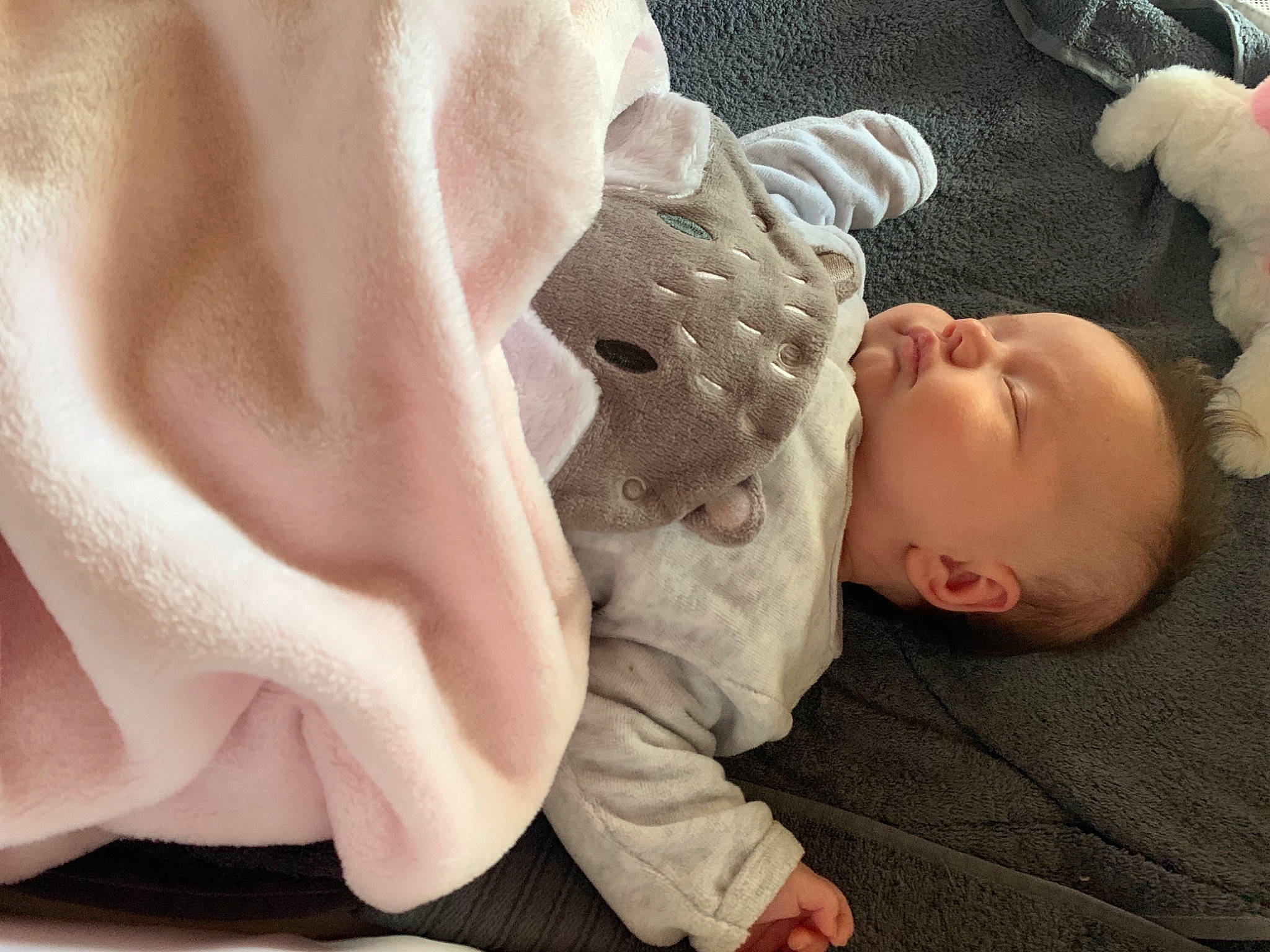 Ambre participe au concours pour gagner de l'argent avec cette photo : arm, baby, baby_products, baby_safety, baby_sleeping, baby_toddler_clothing, cheek, child, comfort, flooring, fur, gesture, hand, human_leg, linens, person, skin, sleeve, thumb, toddler