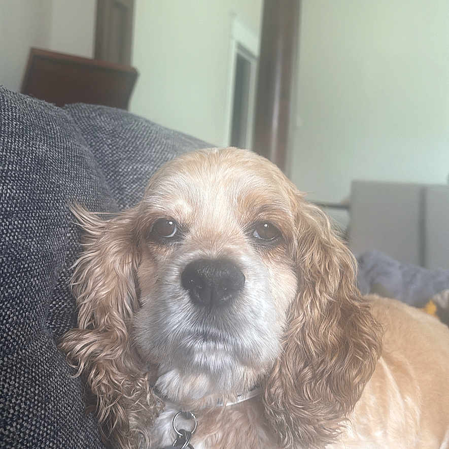 Molly