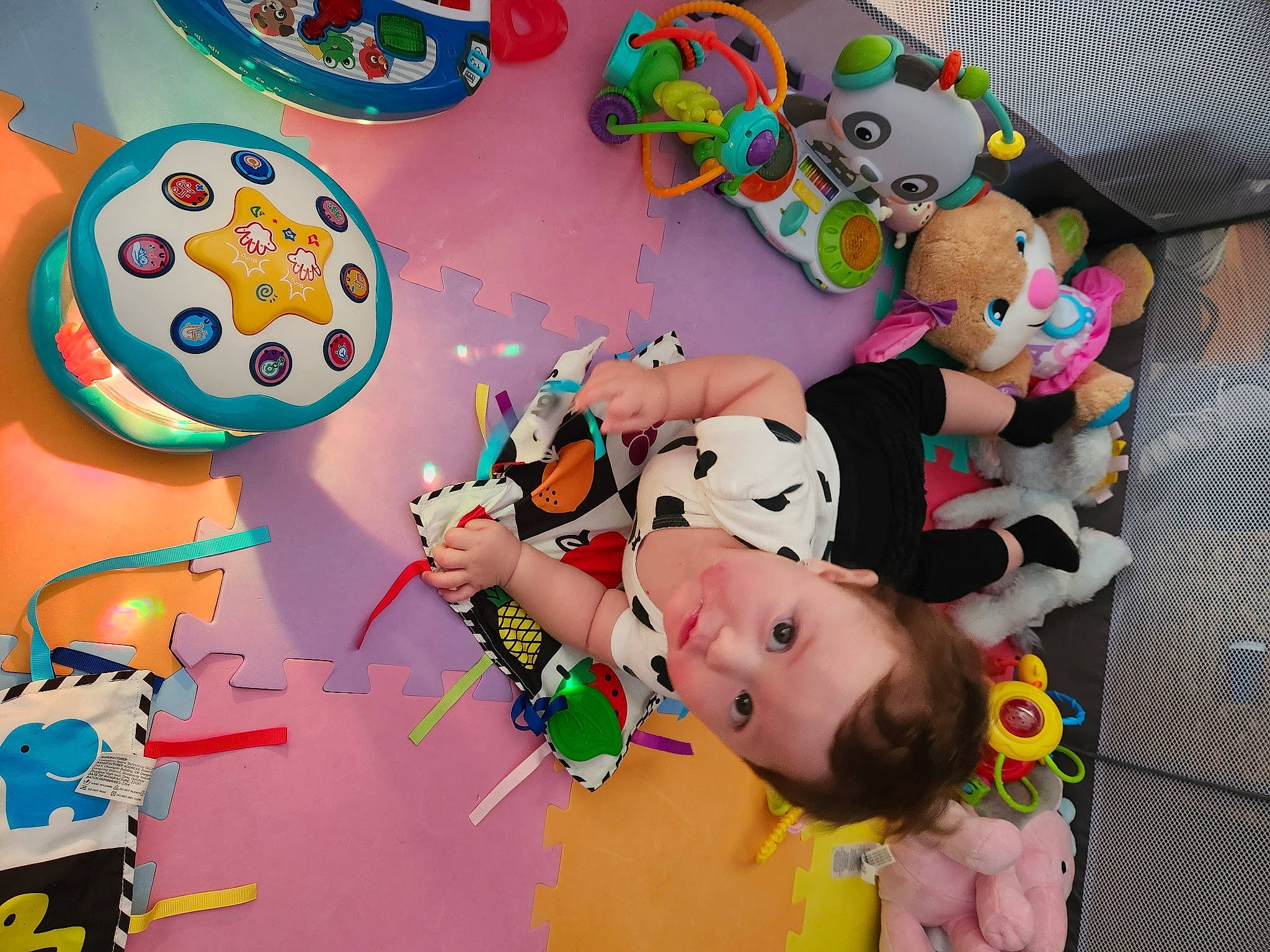 Frankie is registered to the contest to win money with this photo: art, baby_products, baby_toys, child, circle, event, fun, games, happy, party, party_supply, person, plastic, play, recreation, room, smile, sweetness, toddler, toy