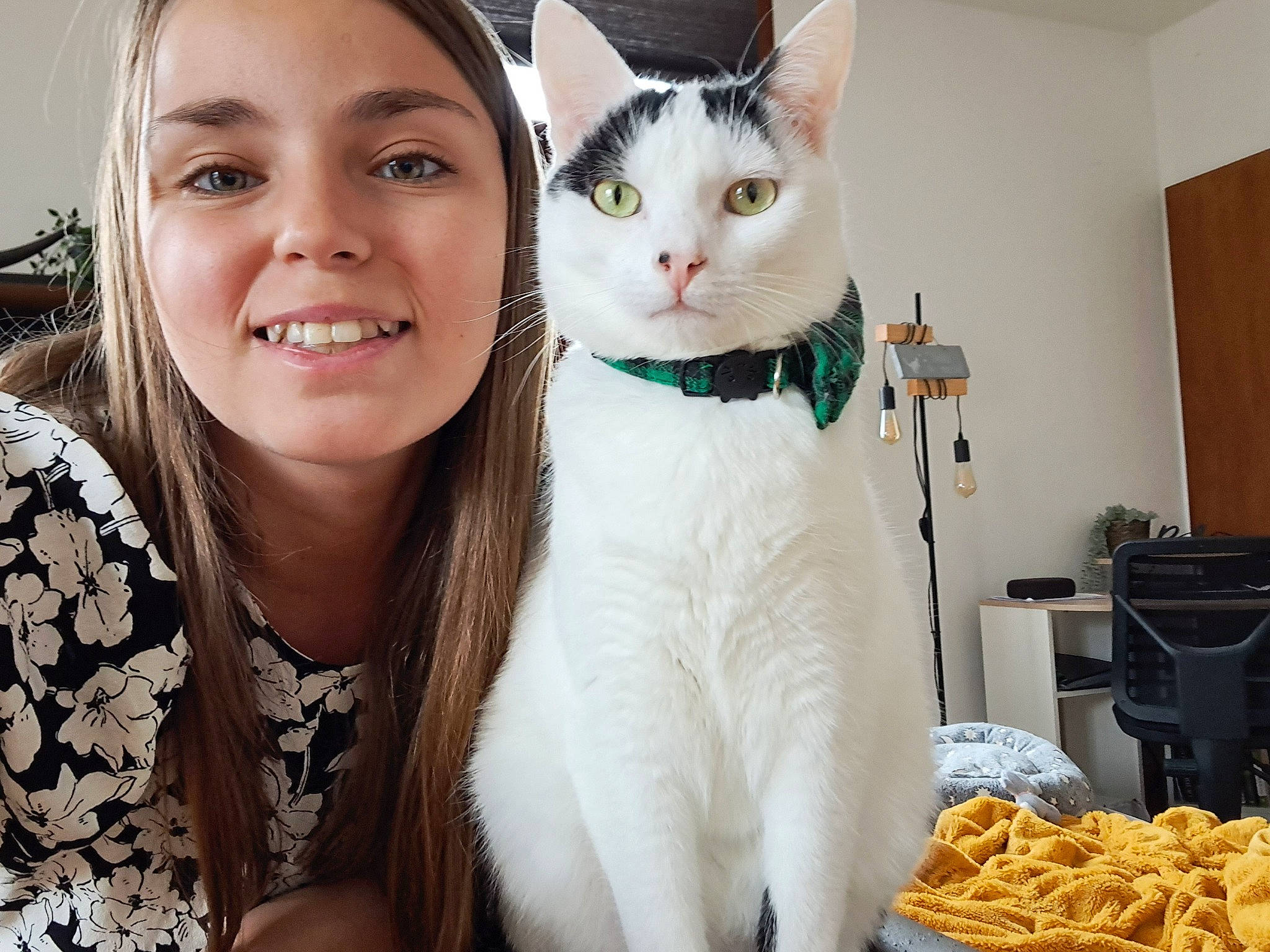 Cajou participe au concours pour gagner de l'argent avec cette photo : carnivore, cat, chair, comfort_food, dish, domestic_short_haired_cat, event, felidae, finger_food, formal_wear, fur, gesture, happy, ingredient, jewellery, junk_food, small_to_medium_sized_cats, smile, whiskers, white