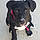 Roxie