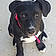 Roxie