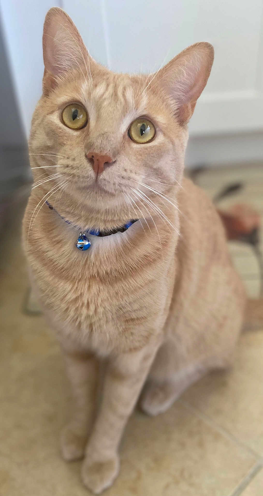 Sonny
