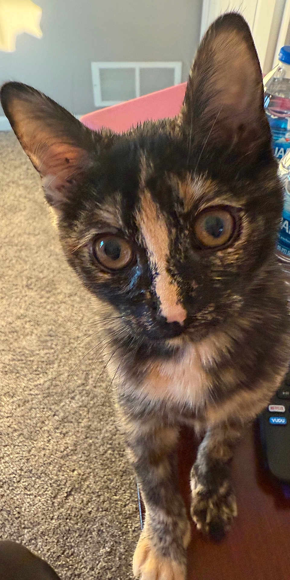 Mia