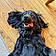 Mollie