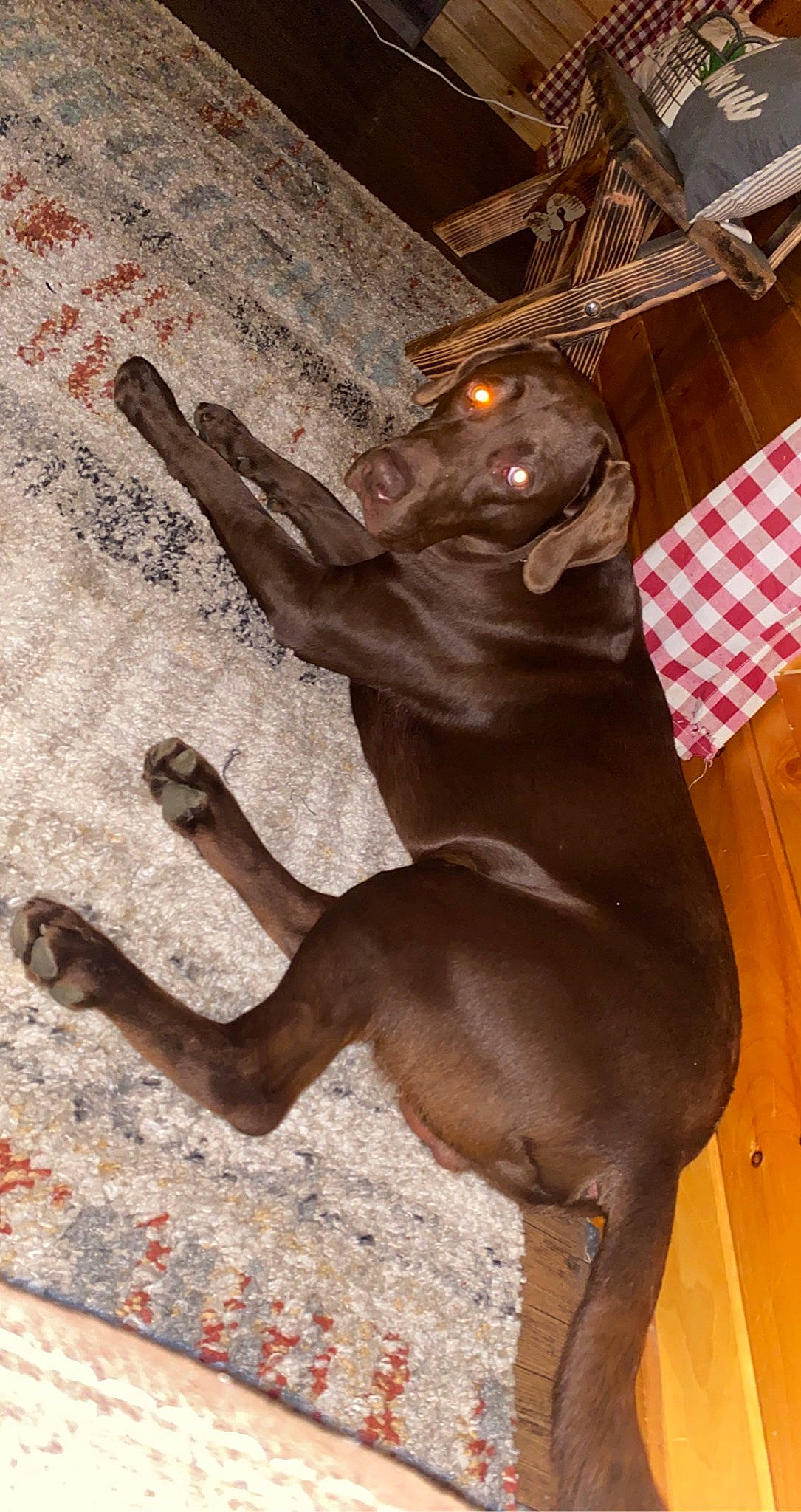 Maverick joined the competition — help win amazing prizes! art, brown, carnivore, comfort, companion_dog, dog, dog_breed, fawn, floor, flooring, hardwood, liver, metal, sculpture, snout, statue, tail, terrestrial_animal, wood, working_animal