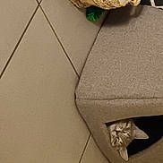 Bogotá participe au concours pour gagner de l'argent avec cette photo : auto_part, automotive_design, automotive_exterior, automotive_tire, automotive_wheel_system, car, chair, concrete, fashion_accessory, fender, floor, flooring, hardwood, linens, table, tire, vehicle, vehicle_door, wheel, wood