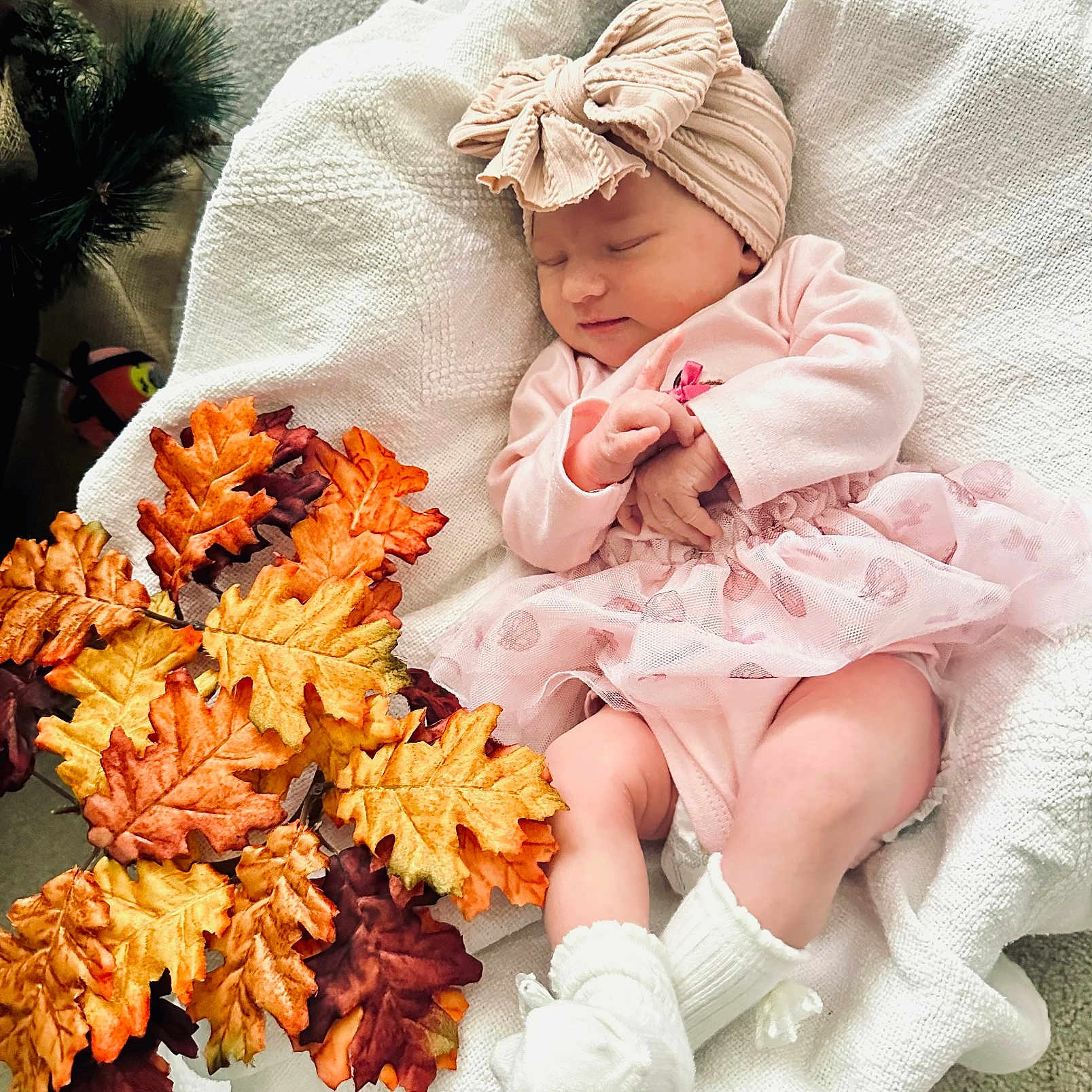 Adalynn joined the competition — help win amazing prizes! newborn, baby, sleeping, infant, portrait, autumn, leaves, pink_clothing, headband, bow, blanket, white_blanket, socks, indoors, cozy, peaceful, closeup, baby_girl, seasonal, photography