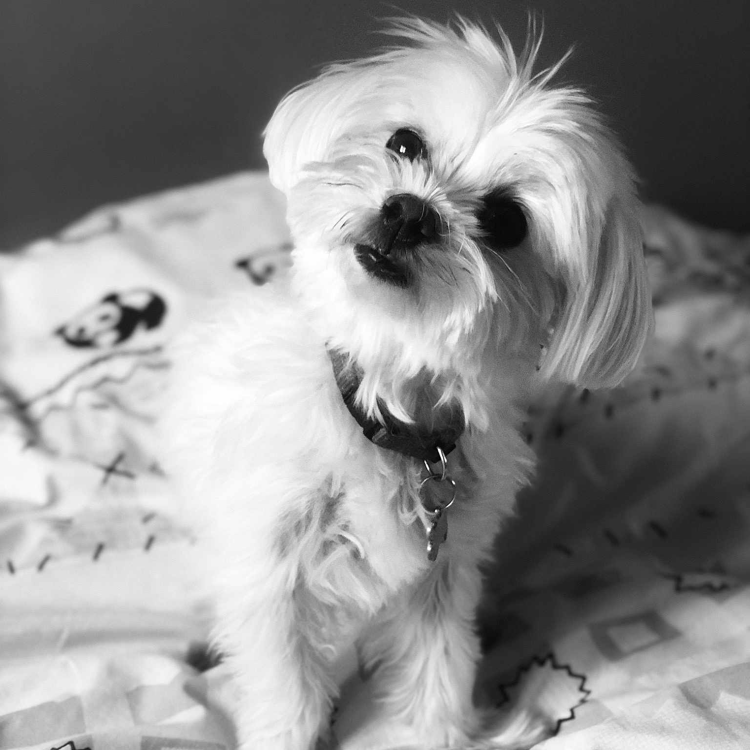 Naïs