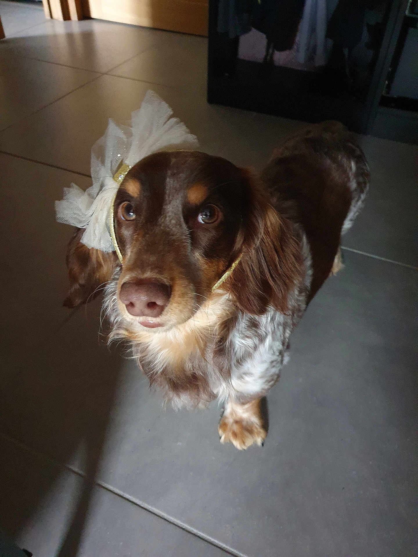 Charlie