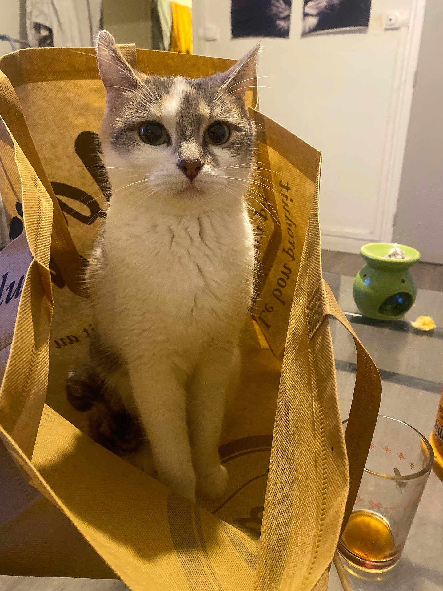 Dina