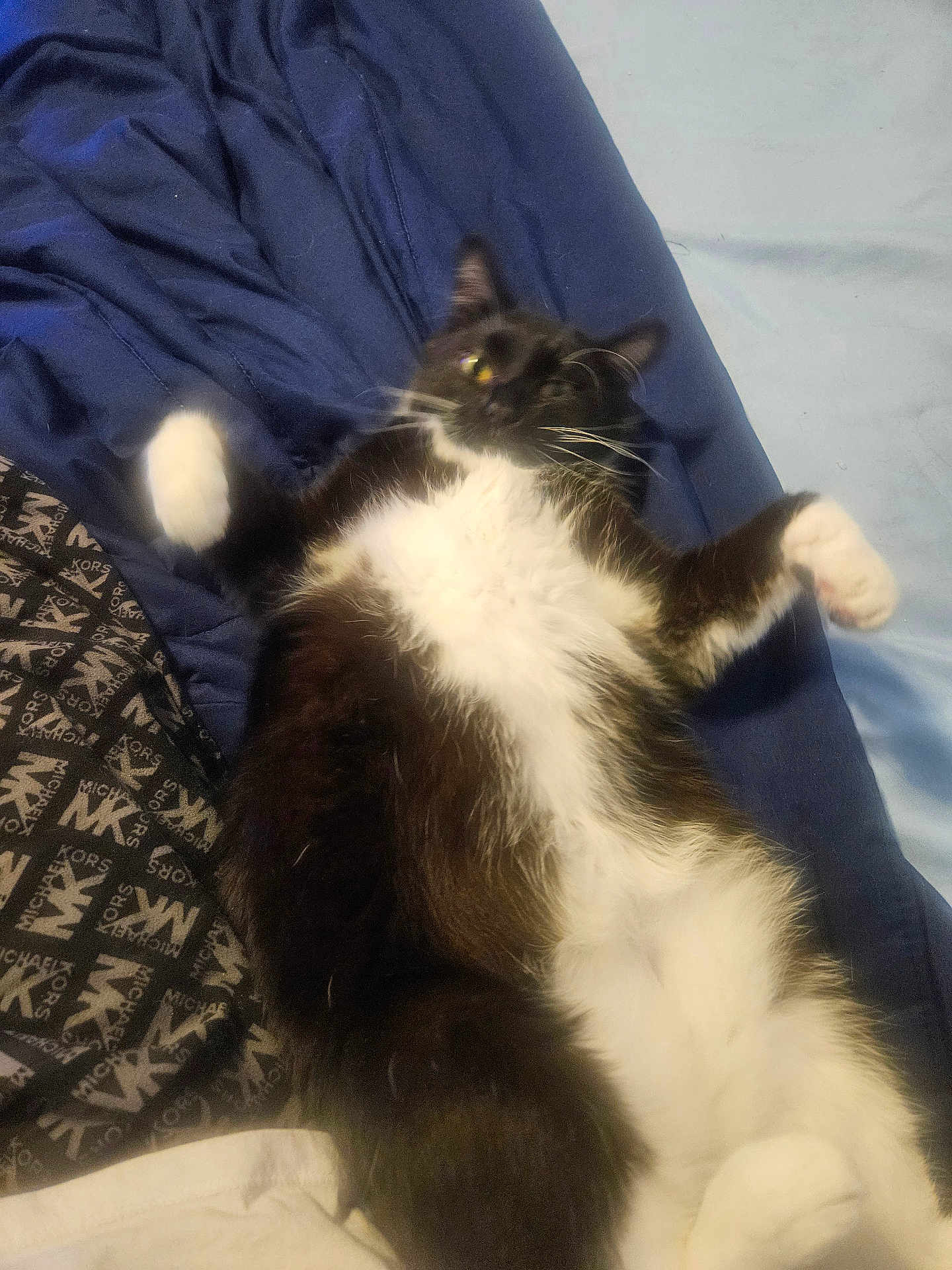 Bootsie