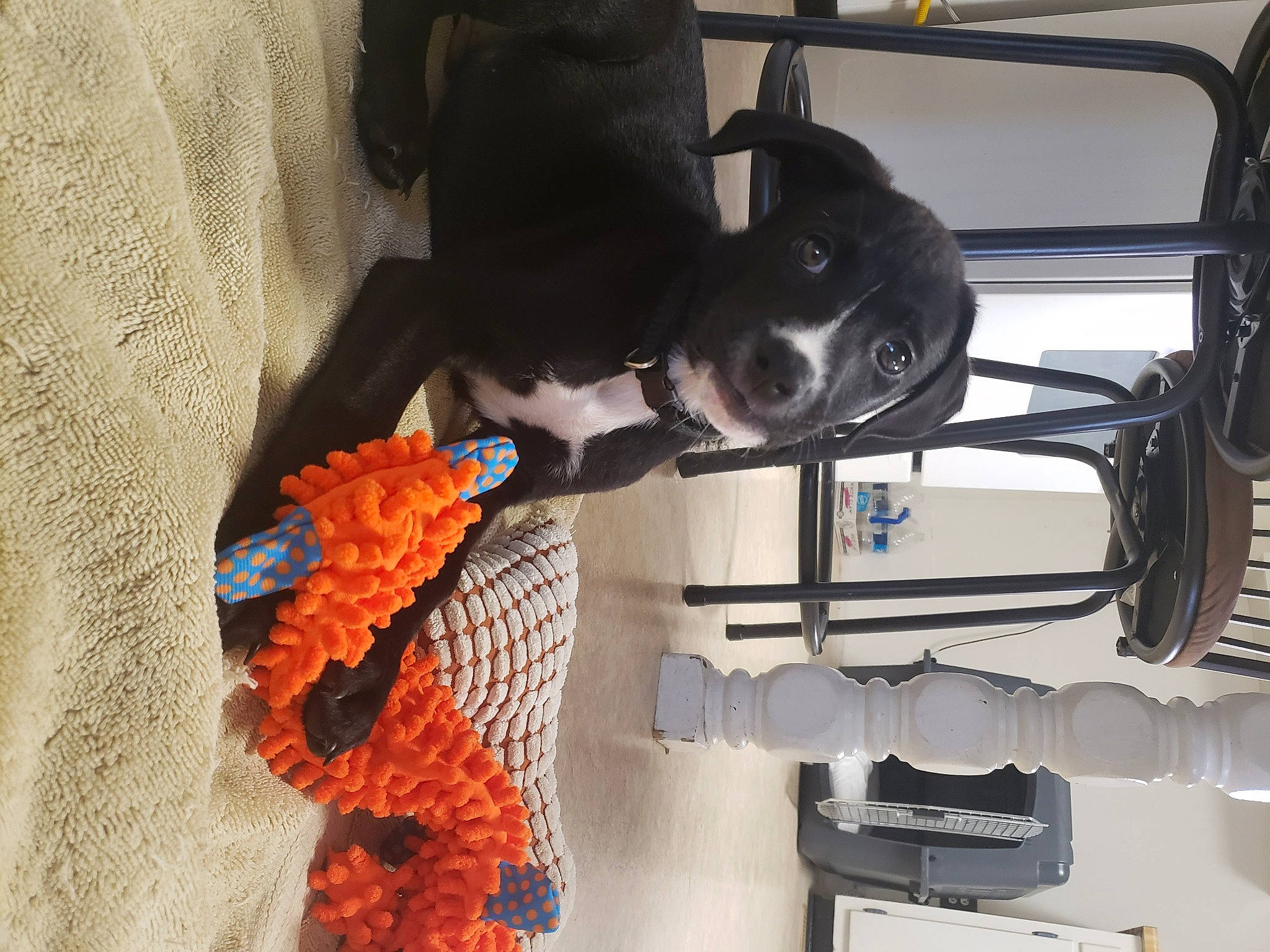 Isaac is registered to the contest to win money with this photo: carmine, comfort, fur, hat, machine, outerwear, room, suit