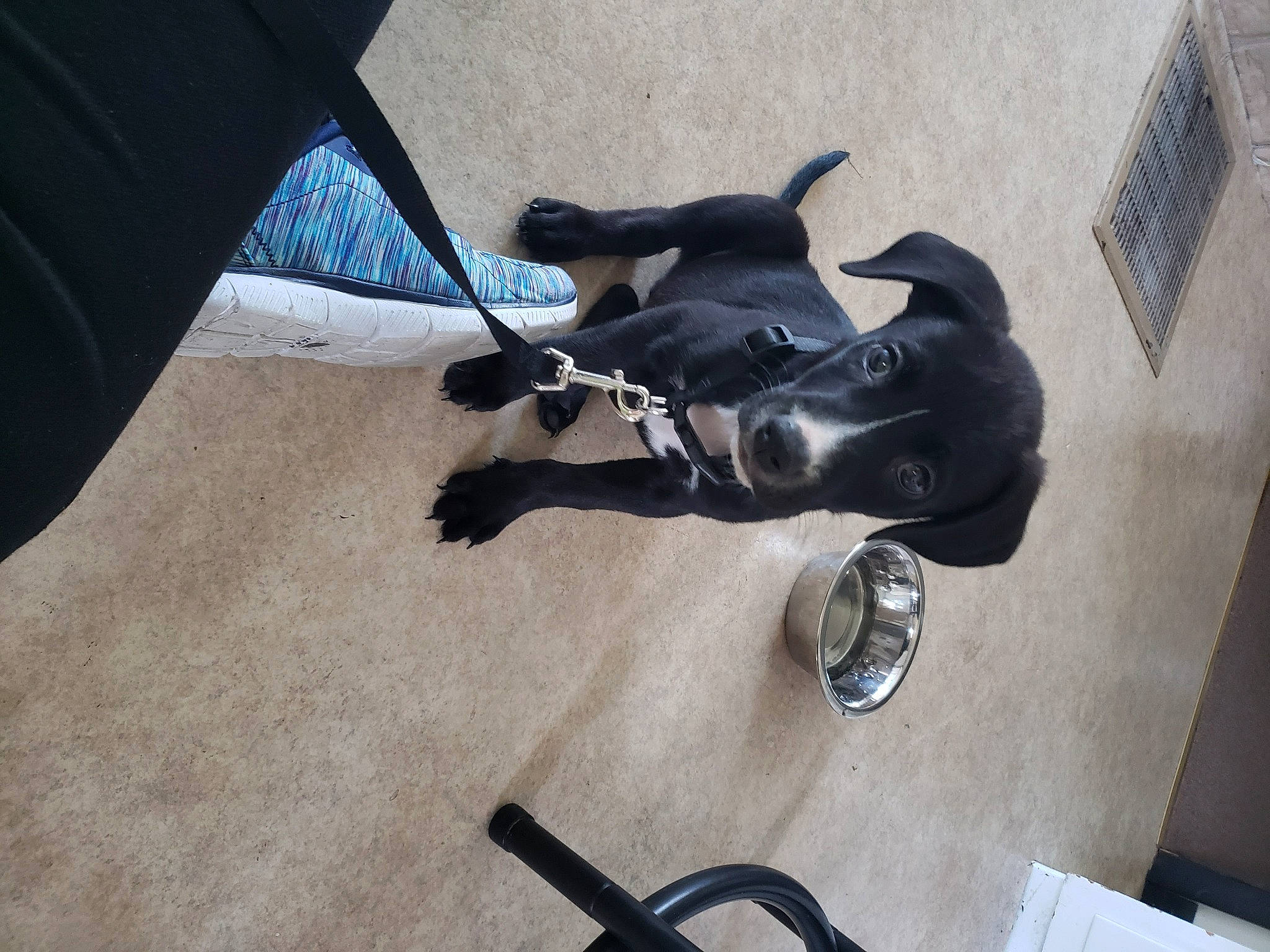 Isaac joined the competition — help win amazing prizes! auto_part, automotive_lighting, automotive_tire, automotive_wheel_system, bicycle_handlebar, bicycle_part, carmine, carnivore, chair, dog, dog_breed, fashion_accessory, groupset, metal, motorcycle_accessories, personal_protective_equipment, rim, sporting_group, window, working_animal