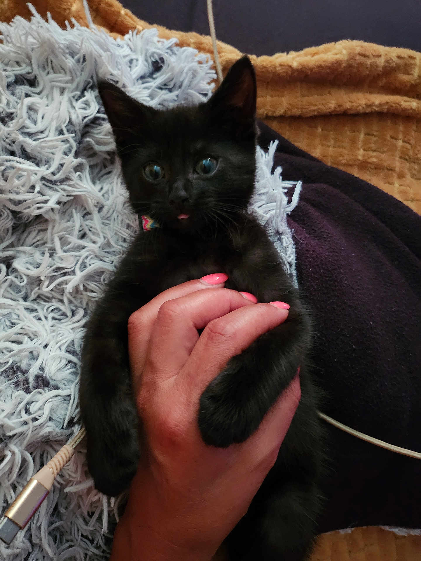 Salem