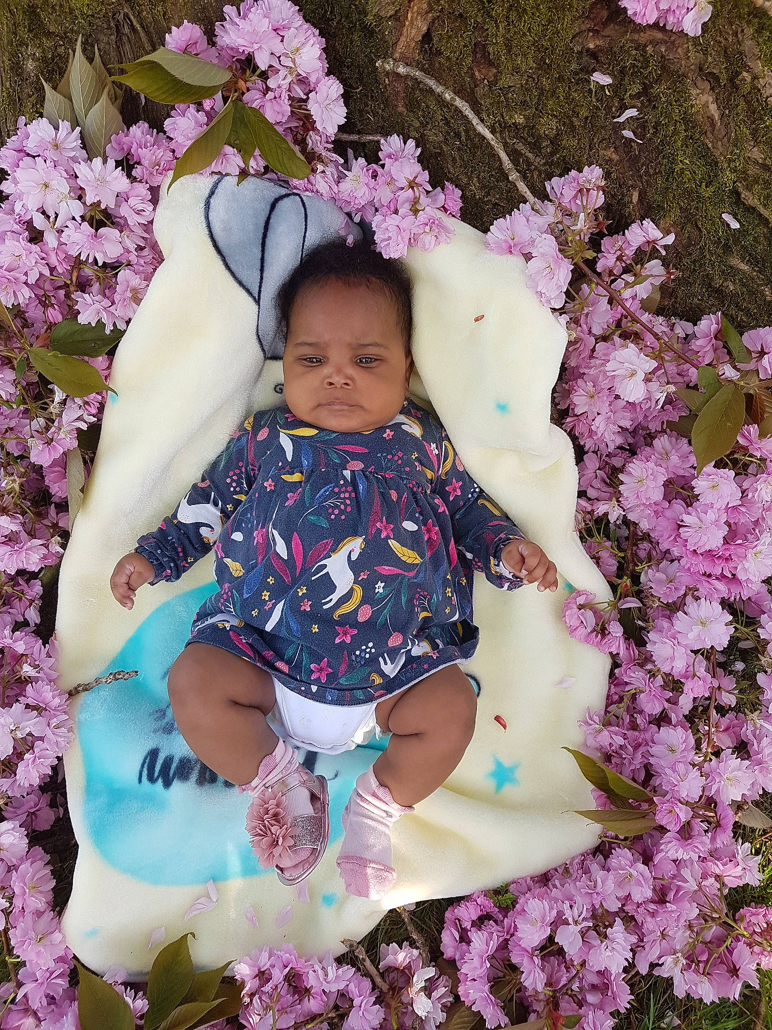 Aurèlia is registered to the contest to win money with this photo: baby, baby_products, baby_toddler_clothing, child, flower, lavender, lilac, person, petal, photography, pink, plant, product, purple, spring, toddler, violet