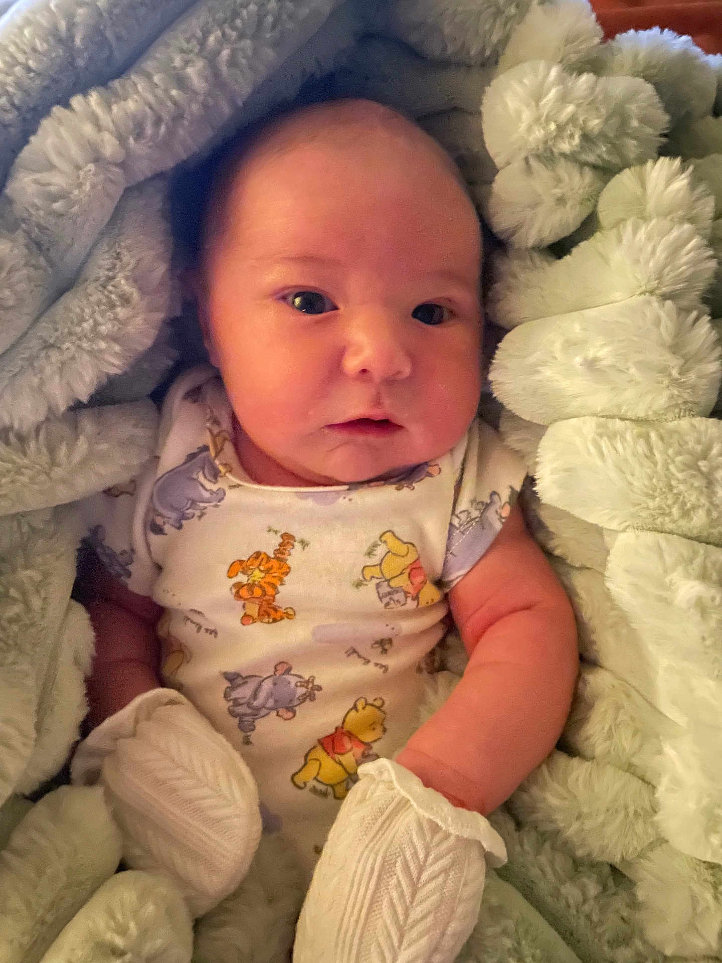 Micah is registered to the contest to win money with this photo: baby, blanket, mittens, onesie, winnie_the_pooh, tigger, eeyore, plush, soft, cute, infant, face, portrait, child, newborn, sleepwear, comfort, warm, lying_down, home