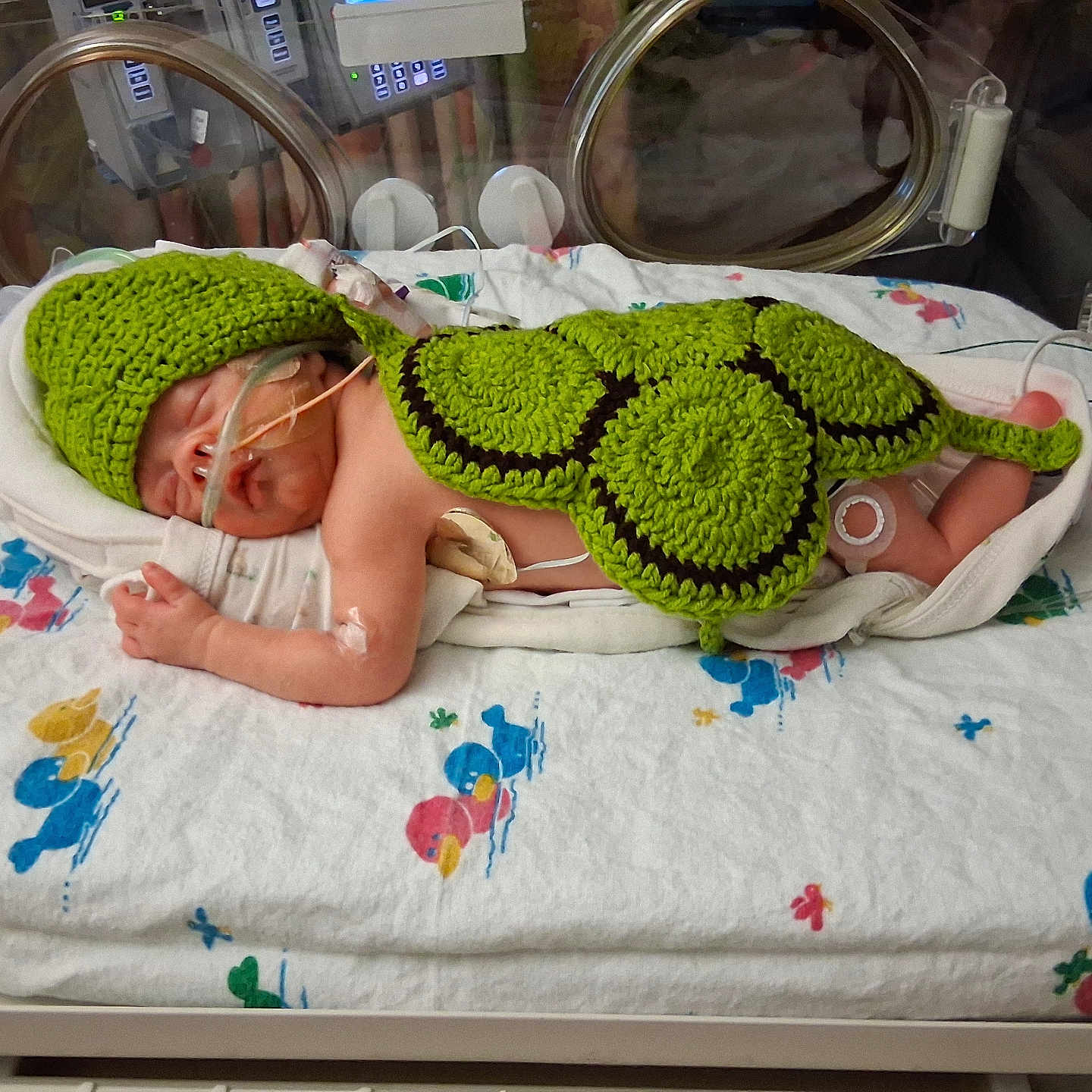 Aza is registered to the contest to win money with this photo: baby, bed, blanket, child, crocheted_outfit, cute, green_hat, green_shell, healthcare, hospital, incubator, infant, medical_equipment, medical_tubes, newborn, nursery, person, premature, sleeping, turtle_costume