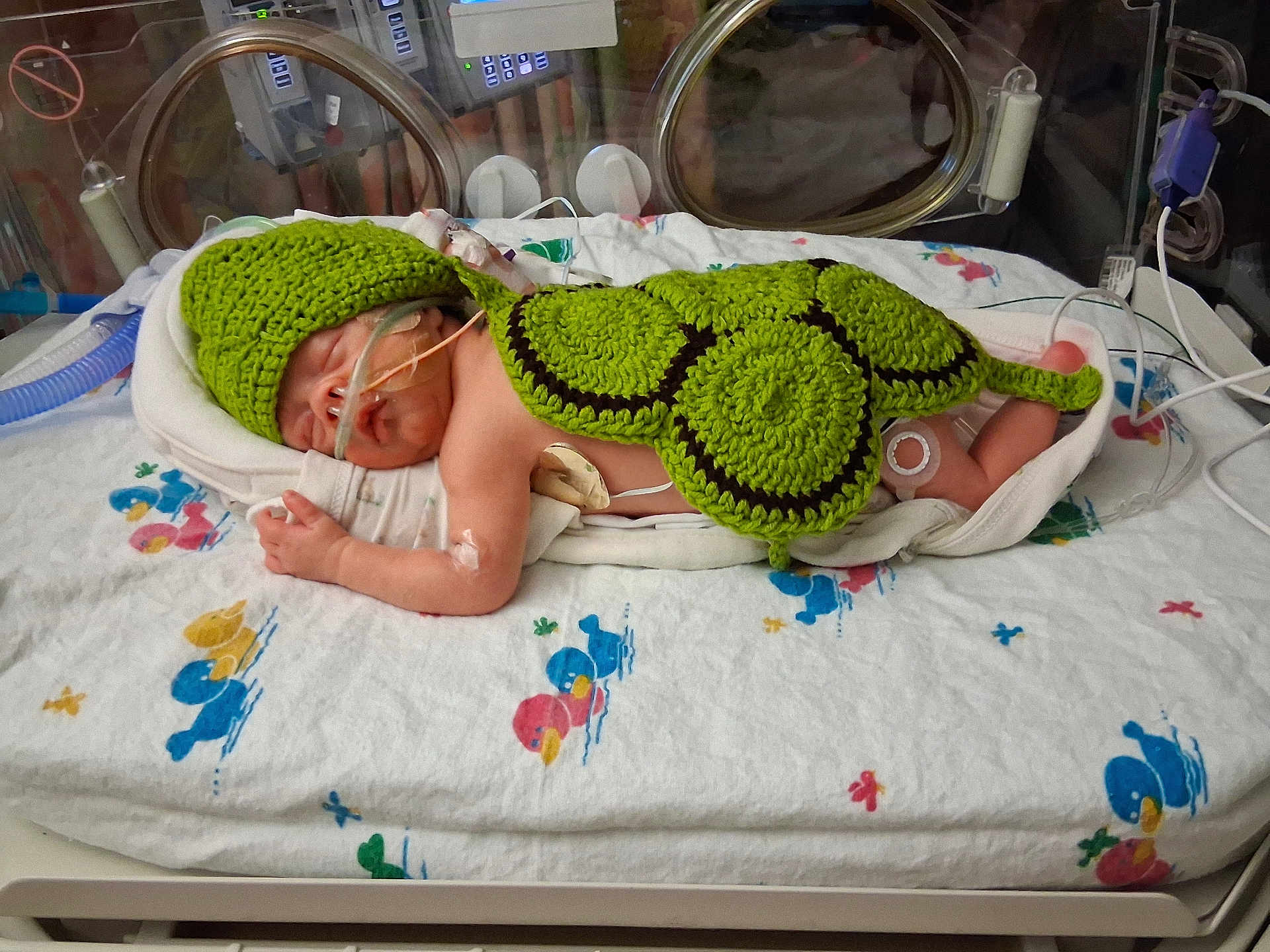 Aza is registered to the contest to win money with this photo: newborn, baby, incubator, hospital, medical_tubes, crocheted_outfit, green_hat, green_shell, sleeping, premature, infant, bed, blanket, medical_equipment, turtle_costume, cute, child, healthcare, person, nursery