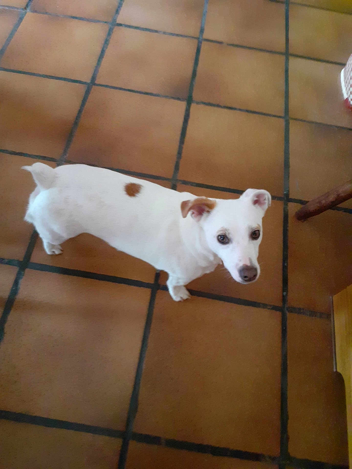 Marie