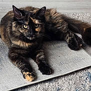 Fleur is registered to the contest to win money with this photo: